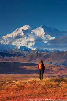 
                    
                        Denali National Park, Alaska ...someday. #KSadventure and #KendraScott  CLICK THE PIC and Learn how you can EARN MONEY while still having fun on Pinterest
                    
                