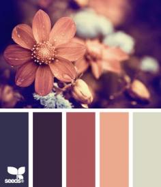 COLOR PALETTES: flora tones [coral/peach and dark mauve; the lipstick colors I select]