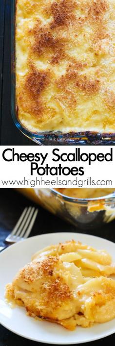
                    
                        Cheesy Scalloped Potatoes - These are a great and easy side dish for any dinner! www.highheelsandg...
                    
                
