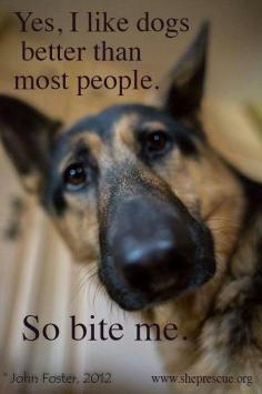 Yes, I like dogs better than most people.  So bite me. ~ Dog Love Animal Love