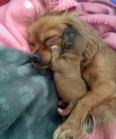 Quiet time for mummy and baby