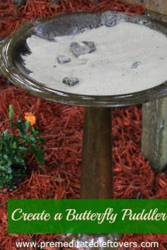 for my butterfly garden!   How to Create a Butterfly Puddler - Attract butterflies to your yard by creating a butterfly puddler for beautiful butterflies to rest and drink.