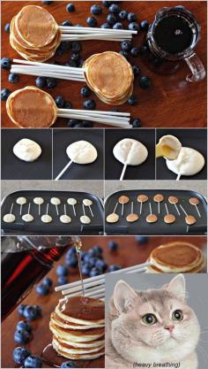 How to quickly and easily make awesome pancake lollipops. Btw this cat..I can't.. I laugh every time. *Heavy breathing*