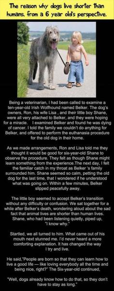 Faith In Humanity Restored – 21 Pics why dogs live shorter