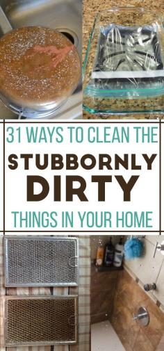 
                    
                        31 Ways To Clean All The Stubbornly Dirty Things In Your Home
                    
                