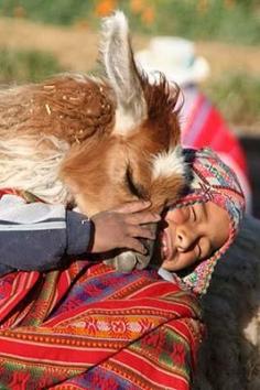 
                    
                        Peruvian boy and his llama, Yaque, Peru - Karen Sparrow
                    
                