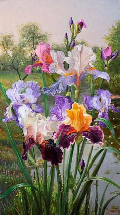 Colourful Iris Flowers, Artist: Vladimir Ivanov