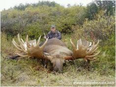 
                    
                        Worlds record moose. #wow #nice #hunting.
                    
                