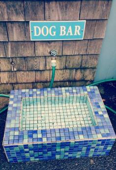 Outdoor Dog Bar