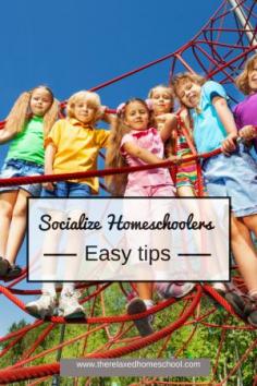 
                    
                        Socialize your homeschool kids - easy tips!
                    
                