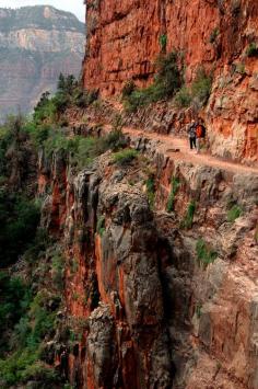 Grand Canyon, North Kaibob Trail   Hiking this very soon.... so excited!!