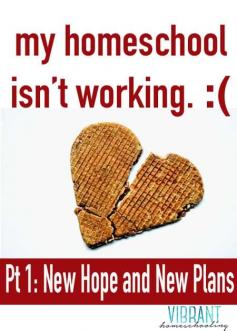 Homeschool help: What do you do when things aren't working? Here's one mom's story. | vibranthomeschooling.com |