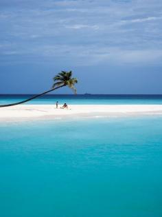Halaveli, Maldives  - #travel #tropical #blue #paradise #island #palmtree #ocean #water #summer