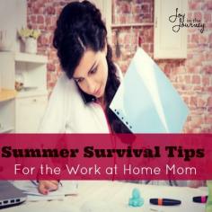 
                    
                        Summer Survival Tips
                    
                