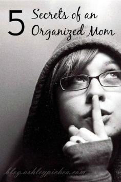 
                    
                        Want to know the secrets to being an ORGANIZED MOM?? | CLICK HERE to learn these five secrets...
                    
                