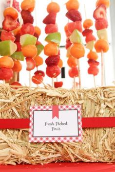Great presentation - fruit kabobs in hay bale at a farm party