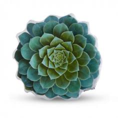 
                    
                        Handmade Sateen Succulent Cushion - Blue Echeveria | dotandbo.com
                    
                