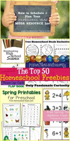 
                    
                        TOP 50 Homeschool Freebies of the Past Month!
                    
                