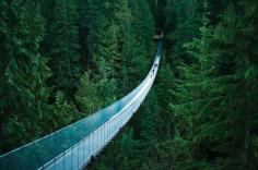Capilano Suspension Bridge, Vancouver, British Columbia. Bucket list!! yikes.