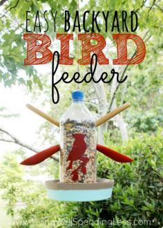 Bird feeders in the nursery outdoor area to encourage more birds.