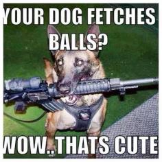 Your dog fetches balls.
