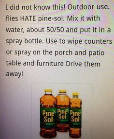 Repel flies outdoors with Pine Sol