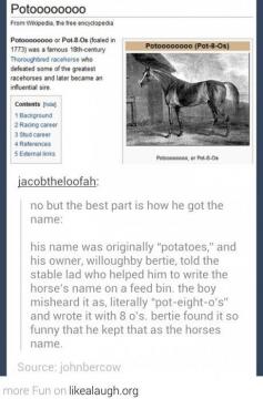 Potoooooooo the horse. Tumblr funny