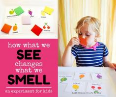 
                    
                        How What We See Changes What We Smell LBCB FB
                    
                