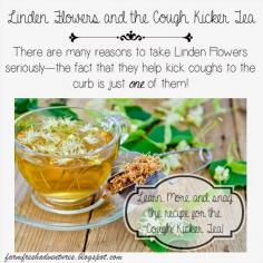 
                    
                        Learn more about Linden flowers and snag the recipe for Cough Kicker Tea
                    
                