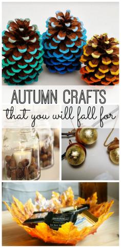 10 simple autumn crafts for your Thanksgiving table!
