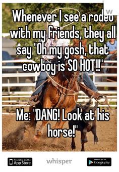 I am manly horse but cowboys too lol