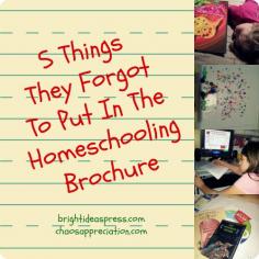 5 Things They Forgot to Put in the Homeschooling Brochure @Bright Ideas Press