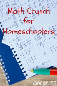 
                    
                        How Using Math Crunch can give you access to instant mathhelp as a homeschooler. AD
                    
                