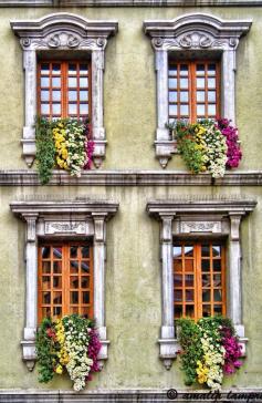 Window boxes, Annecy, Haute-Savoie, France