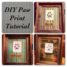 Paw Print:   -Picture Frame -Scrapbook Paper -Plain White Paper or Card stock -Ink Pad (non toxic) -Glue -Printer or Marker -Baby Wipes or Damp Towel -Scissors -and your pet of course!