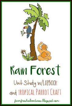 
                    
                        Rain Forest Unit Study with Lapbook and Tropical Parrot Craft
                    
                