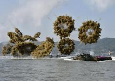 
                    
                        AMAZING MILITARY PICTURES - AWESOME AERIAL EXPLOSIONS ON BEACH LANDING MANEUVERS!
                    
                