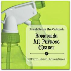 
                    
                        Homemade All-Purpose Cleaner #homemadecleaner #naturalcleaner
                    
                