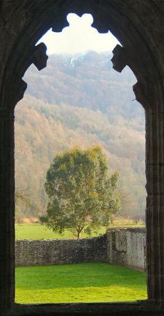 Through the Abbey Window