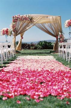 
                    
                        An ombre aisle is created with pink petals at this outdoor ceremony.
                    
                