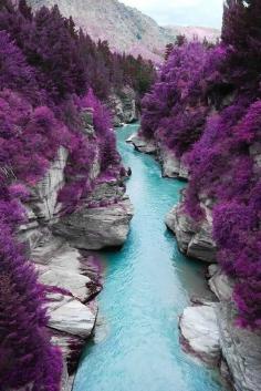 Fairy Pools on Isle of Skye, Scotland  #purple #flowers #nature #travel