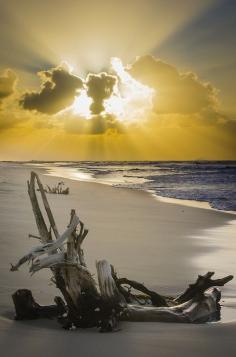 Sunset at Tailor Bight by Paul Hayes, beach, water, waves, wood, clouds, sunbeams, Ocean view, beauty of Nature, stunning, panorama, photograph, photo