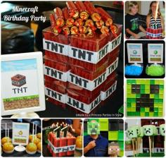 
                    
                        Minecraft Birthday Party
                    
                