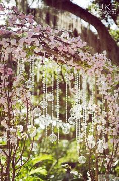 
                    
                        This romantic wedding arch is created with flowering branches dripping with crystal strands. #WeddingColors #PinkFlowers #WeddingFlowers #Centerpieces
                    
                