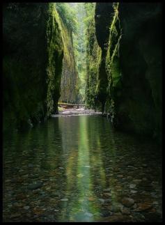 Oneonta Gorge in The Columbia River Gorge, Oregon, is definitely one of my favorite short hikes. I'm sure to head here on one of our (few) very hot days of summer. Climb over a log jam, the hike along and in the river until you get to the cavern and waterfall at the end. My boys and brothers like climbing up the rock face and jumping off part of the