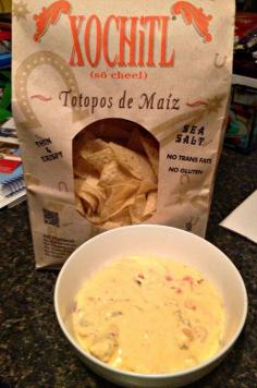 Cheesy Queso Dip | The Food Hussy