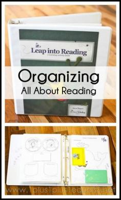 
                    
                        Organizing All About Reading
                    
                