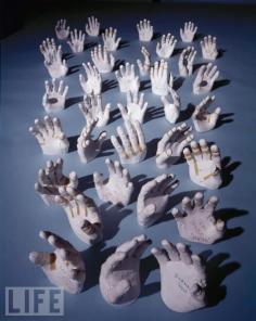 Plaster casts of the hands of NASA astronauts, taken in order to custom-fit their space suits. Houston, Texas, 1968