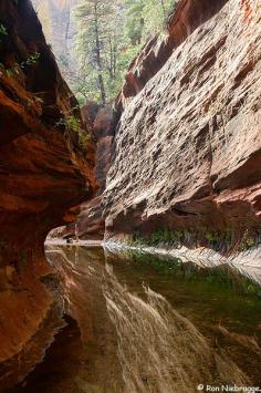 A hiker at the end of the Oak Creek Trail, Coconino National Forest, Sedona, Arizona