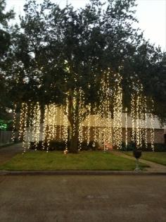 Raining Lights...how amazing would this look hanging from the trees in an outdoor wedding perfect for a backyard wedding.